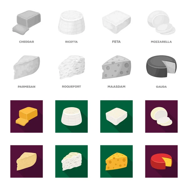 Parmigiano, roquefort, maasdam, gauda.Diversi tipi di set di formaggi icone di raccolta in monocromo, stile piatto vettore simbolo stock illustrazione web . — Vettoriale Stock