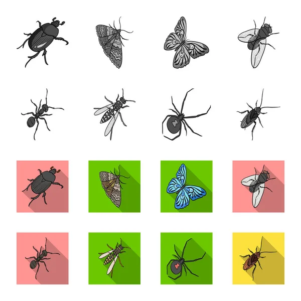 An insect arthropod, an osa, a spider, a cockroach. Insects set collection icons in monochrome,flat style vector symbol stock isometric illustration web. — Stock Vector