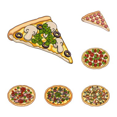 Set koleksiyonu tasarım için farklı pizza karikatür simgeler. Pizza yemek vektör simge stok web çizim.