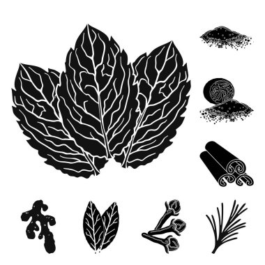 Ot ve baharat set koleksiyonu tasarım için simgeler siyah. Baharat çeşitleri simge stok web illüstrasyon vektör.