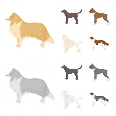 Kömür ocağı, labrador, boxer, fino köpeği. Köpek ırkları toplama simgeler çizgi film, tek renkli stil vektör simge stok çizim web ayarla..
