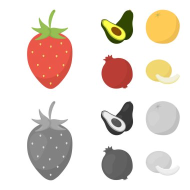 Çilek, berry, avokado, portakal, nar. Meyve toplama simgeler çizgi film, tek renkli stil vektör simge stok çizim web ayarla..