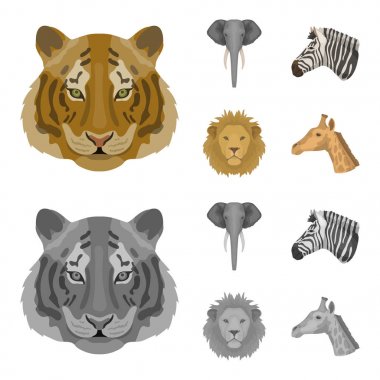 Kaplan, aslan, fil, zebra, gerçekçi Hayvanlar Karikatür, tek renkli stil vektör simge stok çizim web simgeler ayarla.