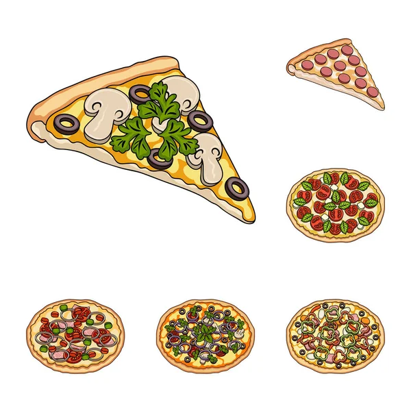 Set koleksiyonu tasarım için farklı pizza karikatür simgeler. Pizza yemek vektör simge stok web çizim. — Stok Vektör