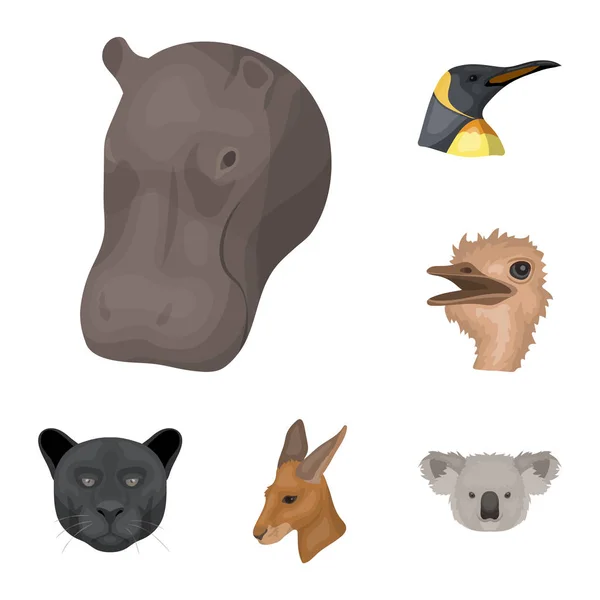 Vilda djur-tecknad serie ikoner i set insamling för design. Däggdjurs- och fågelarter vektor symbol lager web illustration. — Stock vektor