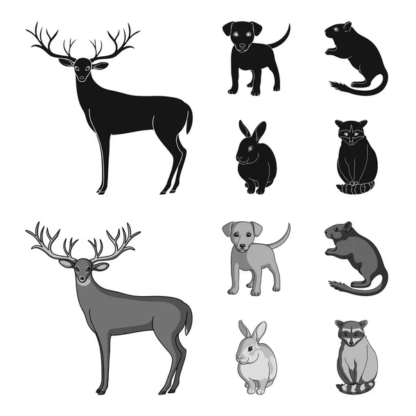 Filhote de cachorro, roedor, coelho e outras espécies de animais.Animais definir ícones de coleção em preto, estilo monocromático símbolo vetorial estoque ilustração web . —  Vetores de Stock