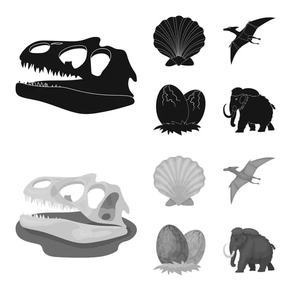 Coquille préhistorique, œufs de dinosaures, ptérodactyle, mammouth. Dinosaure et période préhistorique ensemble icônes de la collection en noir, monochrome style vectoriel symbole illustration web . — Image vectorielle