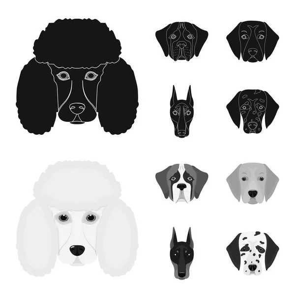 犬の異なった品種の銃口。ダルメシアン ドーベルマン、セント ・ バーナード、ゴールデン ・ レトリーバー犬の品種の犬は、黒、モノクロ スタイルのベクトル シンボル ストック イラスト web でコレクション アイコンを設定. — ストックベクタ