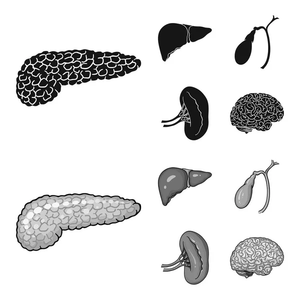 Fígado, vesícula biliar, rim, cérebro. Órgãos humanos conjunto coleção ícones em preto, estilo monocromático símbolo vetorial estoque ilustração web . — Vetor de Stock