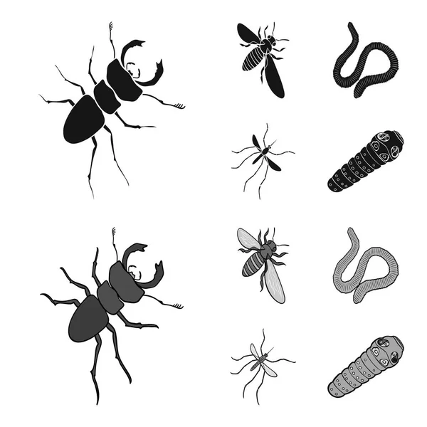 Arthropods insect mosquito, bee.Earth worm, caterpillar,vermicular set collection icons in black,monochrom style vector symbol stock isometric illustration web. — Stock Vector