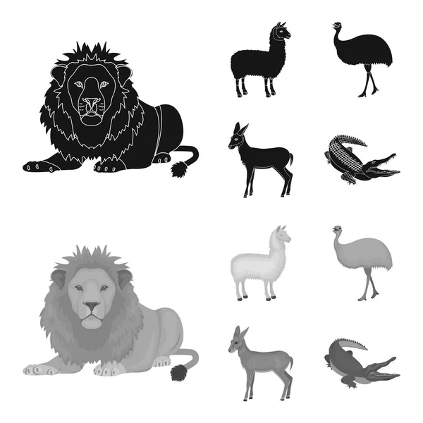 Lama, avestruz emu, antílope joven, cocodrilo animal. Animal salvaje, pájaro, reptil conjunto colección iconos en negro, estilo monocromo vector símbolo stock ilustración web . — Archivo Imágenes Vectoriales