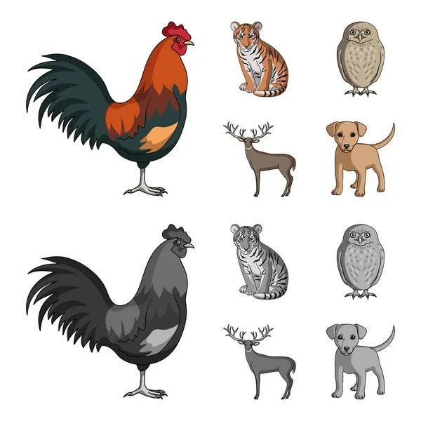 Hahn, Tiger, Hirsch, Eule und andere Tiere.animals setzen Sammlung Symbole in Cartoon, monochromen Stil Vektor Symbol Stock Illustration Web. — Stockvektor