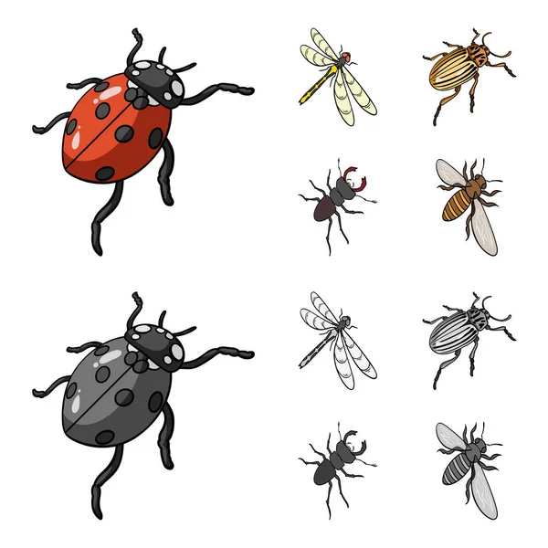 Arthropods Insect ladybird, dragonfly, beetle, Colorado beetle Insects set collection icons in cartoon,monochrome style vector symbol stock isometric illustration web. — Stock Vector