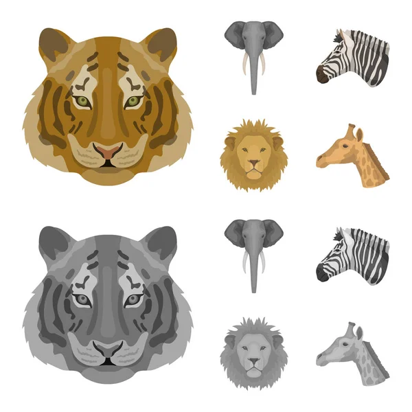 Kaplan, aslan, fil, zebra, gerçekçi Hayvanlar Karikatür, tek renkli stil vektör simge stok çizim web simgeler ayarla.