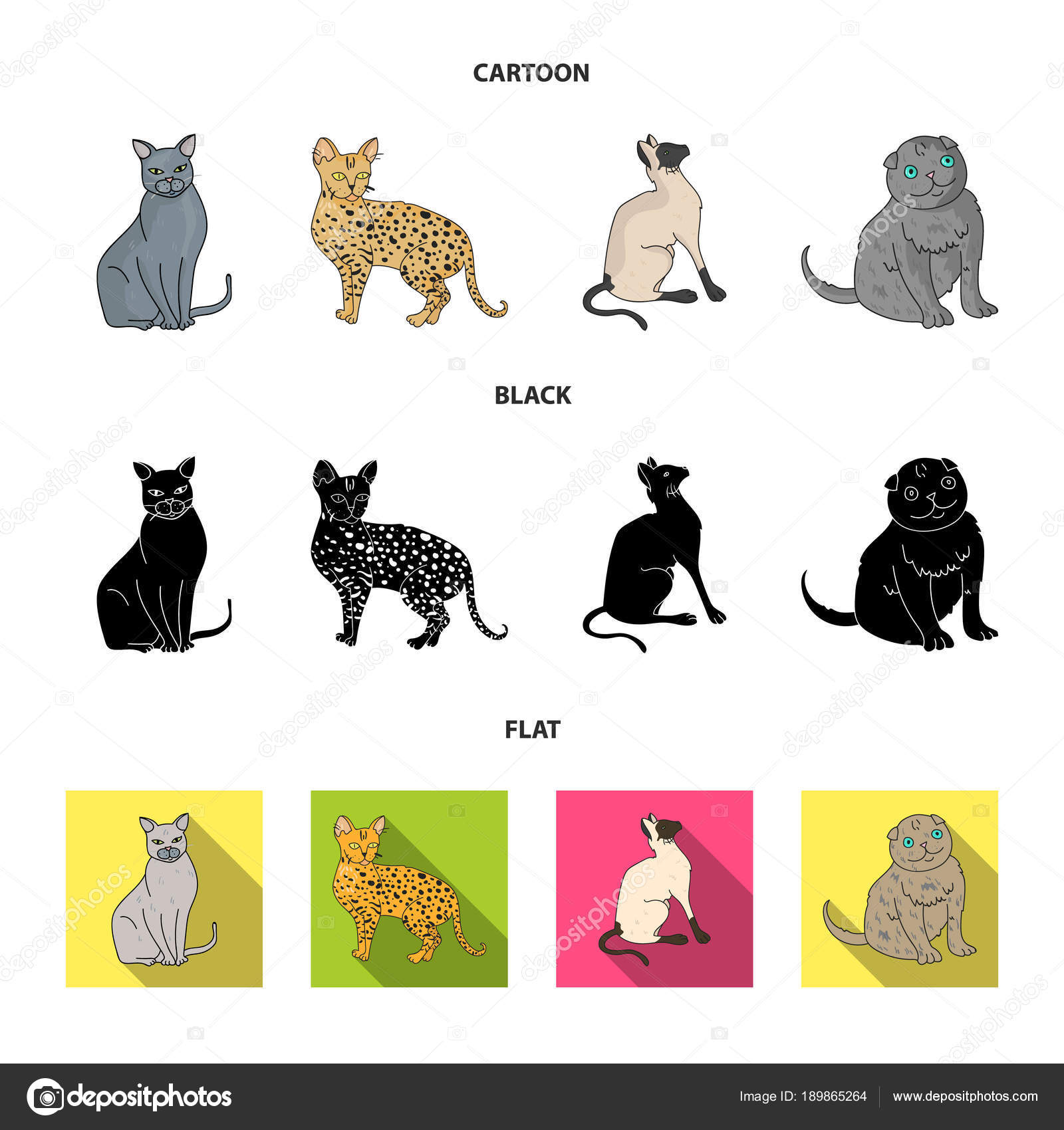 Siamese E Altre Specie Razze Del Gatto Impostata Icone Dell