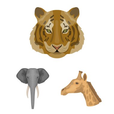 Set koleksiyonu tasarım için vahşi hayvan karikatür simgeler. Mammal ve kuş sembol stok web illüstrasyon vektör.