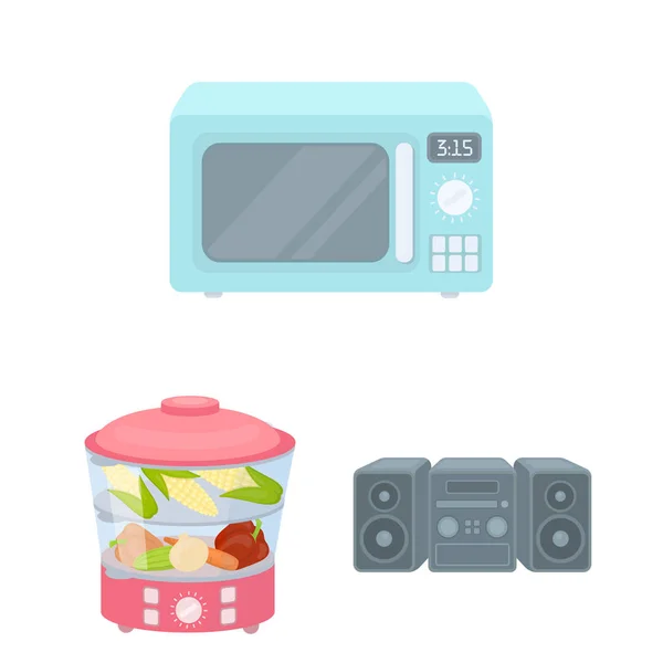 Tipos de electrodomésticos iconos de dibujos animados en la colección de conjuntos para el diseño. equipo de cocina vector símbolo stock web ilustración . — Vector de stock