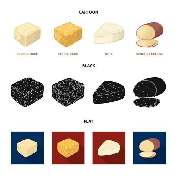 Brynza, fumado, colby jack, pimenta jack.Different tipos de ícones coleção conjunto de queijo em desenhos animados, preto, estilo plano símbolo vetorial web ilustração estoque . —  Vetores de Stock