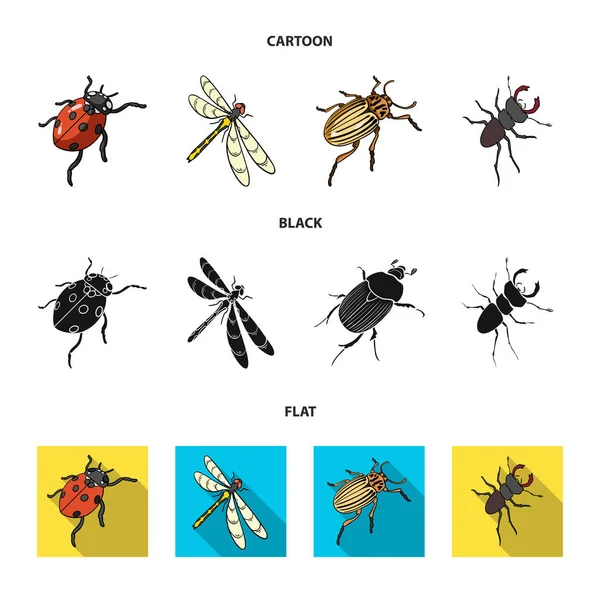 Arthropods Insect ladybird, dragonfly, beetle, Colorado beetle Insects set collection icons in cartoon,black,flat style vector symbol stock isometric illustration web. — Stock Vector