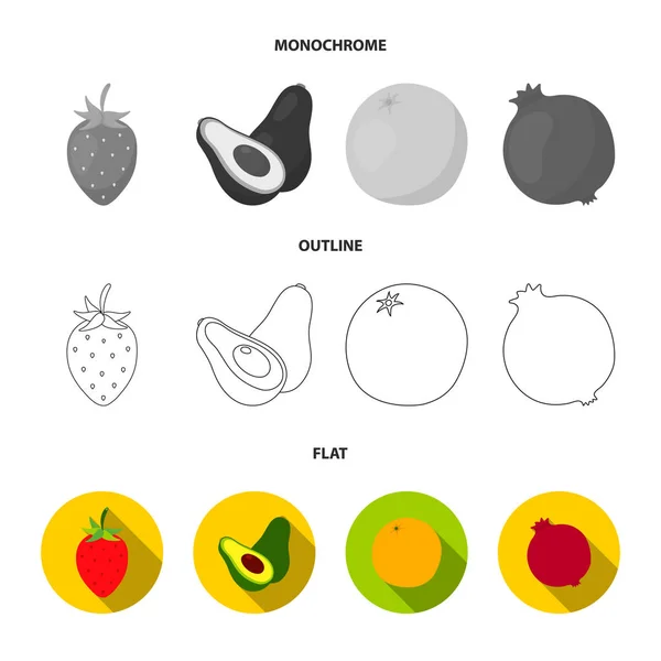 참 외, 자 두, 파인애플, 레몬입니다. 과일 평면, 개요, 흑백 스타일 벡터 기호 재고 일러스트 웹 컬렉션 아이콘을 설정. — 스톡 벡터