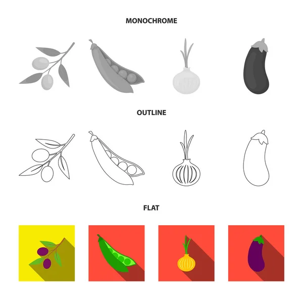 Azeitonas em um ramo, ervilhas, cebolas, berinjela. Vegetais conjunto coleção ícones em plano, contorno, estilo monocromático símbolo vetorial estoque ilustração web . —  Vetores de Stock