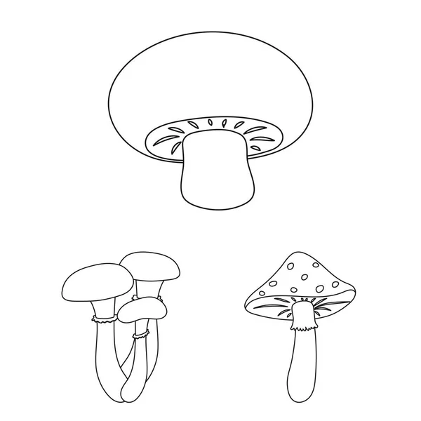 Отруйні та їстівні гриби окреслюють піктограми в наборі для дизайну. Різні типи грибів Векторний символ стокова веб-ілюстрація . — стоковий вектор