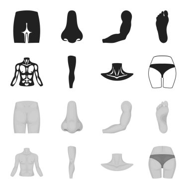 Gövde, bacak, boyun ve kalça. Vücut parçaları toplama simgeler siyah, tek renkli stil vektör simge stok çizim web içinde ayarla..