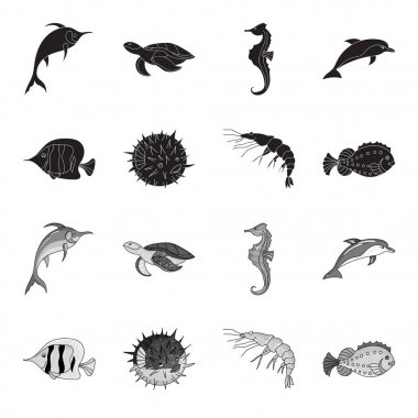 Karides, balık, kirpi ve diğer türler. Deniz hayvanları toplama simgeler siyah, tek renkli stil vektör simge stok çizim web içinde ayarla..