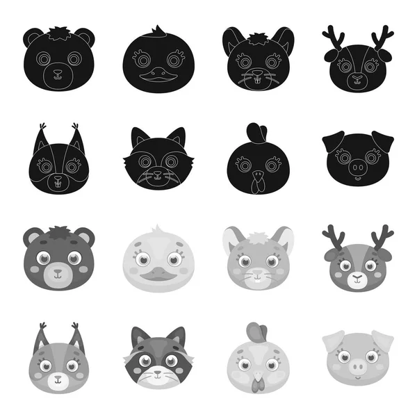 Protein, raccoon, chicken, pig. Animal muzzle set collection icons in black,monochrome style vector symbol stock illustration web. — Stock Vector