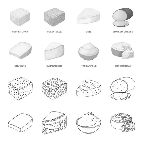Gruyere, camembert, mascarpone, gorgonzola.Different types of cheese set collection icons in outline, monochrome style vector symbol stock illustration web . — стоковый вектор