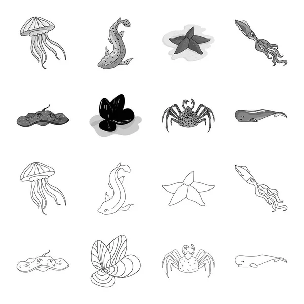 Rampa eléctrica, mejillones, cangrejo, cachalote. Los animales del mar establecen iconos de la colección en el contorno, el estilo monocromo vector símbolo stock ilustración web . — Vector de stock