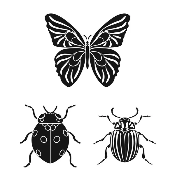 Verschiedene Arten von Insekten schwarze Symbole in Set Sammlung für Design. Insekt Arthropoden Vektor Symbol Stock Web Illustration. — Stockvektor