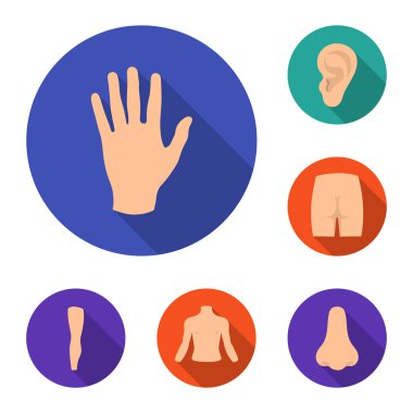 Vücut, bacak set koleksiyonu tasarım için düz simgeleri parçası. İnsan anatomisi vektör simge stok web çizimi.
