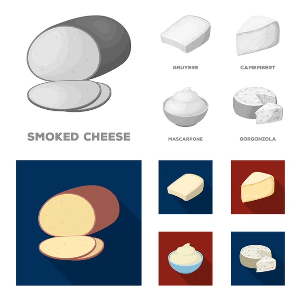 Gruyere, camembert, mascarpone, gorgonzola.Different tipos de iconos colección conjunto de queso en monocromo, vector de estilo plano símbolo stock ilustración web . — Vector de stock