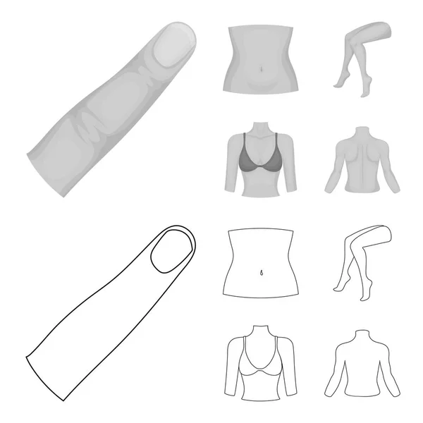 Finger, weibliche Füße, weibliche, Büste. Teil der Body Set Sammlung Symbole in Umriss, monochromen Stil Vektor Symbol Stock Illustration Web. — Stockvektor