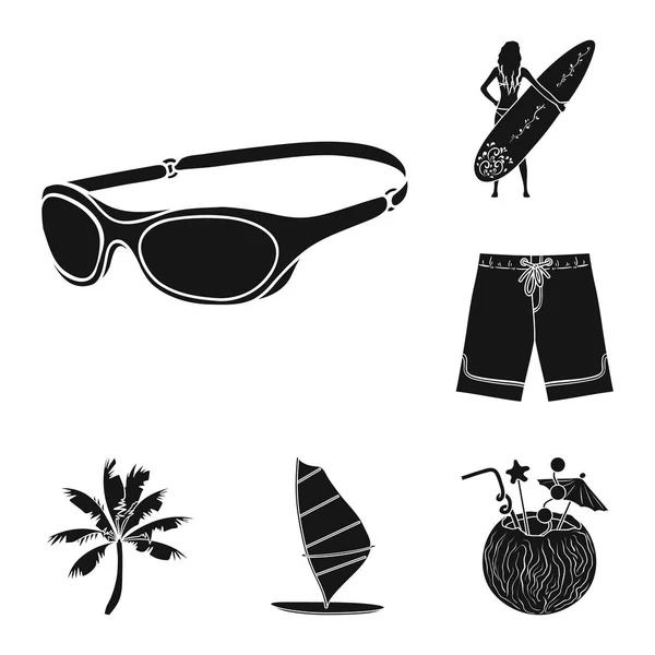 Iconos de surf y negro extremo en la colección de conjuntos para el diseño. Surfista y accesorios vector símbolo stock web ilustración . — Archivo Imágenes Vectoriales