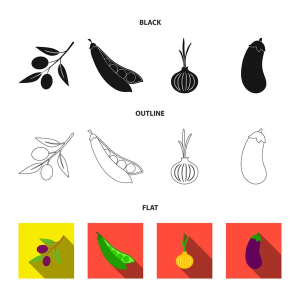 Oliviers sur une branche, pois, oignons, aubergines. Légumes ensemble collection icônes en noir, plat, contour style vectoriel symbole illustration web . — Image vectorielle