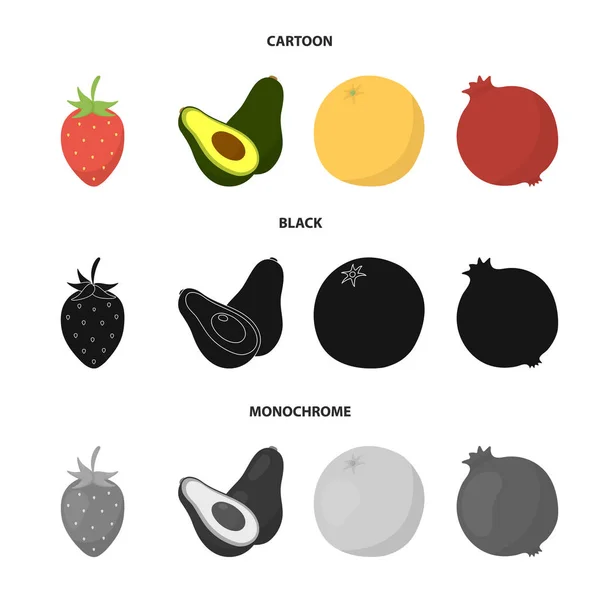 Fragola, bacca, avocado, arancio, melograno. Frutta set icone di raccolta in cartone animato, nero, in stile monocromatico vettore simbolo stock illustrazione web . — Vettoriale Stock