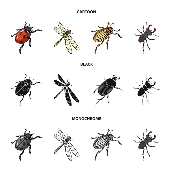 Arthropods Insect ladybird, dragonfly, beetle, Colorado beetle Insects set collection icons in cartoon,black,monochrome style vector symbol stock isometric illustration web. — Stock Vector