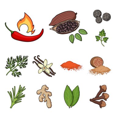 Ot ve baharat set koleksiyonu tasarım için simgeleri karikatür. Baharat çeşitleri simge stok web illüstrasyon vektör.