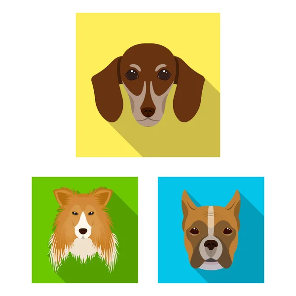 Cão cria ícones planos na coleção de conjuntos para design.Muzzle de um cão símbolo vetorial ilustração web estoque . — Vetor de Stock
