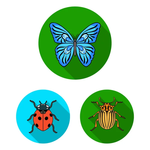 Different kinds of insects flat icons in set collection for design. Insect arthropod vector symbol stock web illustration. — Stock Vector