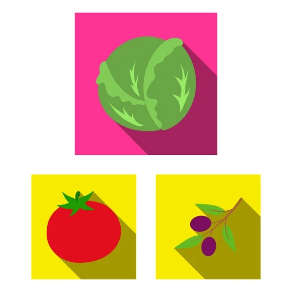 Diferentes tipos de verduras iconos planos en la colección de conjuntos para el diseño. Vegetales y vitaminas vector símbolo stock web ilustración . — Vector de stock