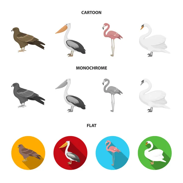 Kite, pelican, flamingo, swan. Birds set collection icons in cartoon,flat,monochrome style vector symbol stock illustration web. — Stock Vector