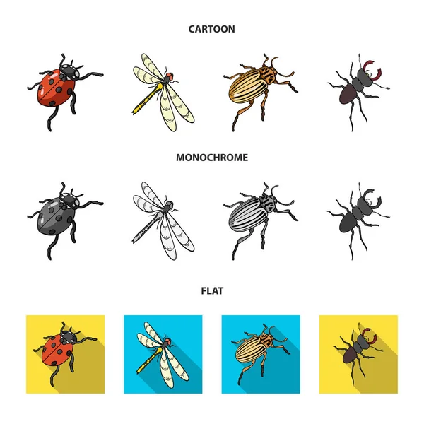 Arthropods Insect ladybird, dragonfly, beetle, Colorado beetle Insects set collection icons in cartoon,flat,monochrome style vector symbol stock isometric illustration web. — Stock Vector