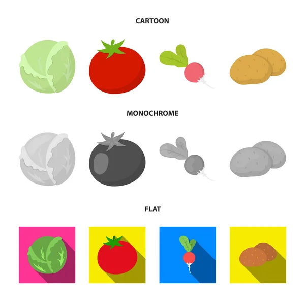 Chou blanc, tomate rouge, riz, pommes de terre. Légumes ensemble icônes de la collection en dessin animé, plat, monochrome style vectoriel symbole illustration web . — Image vectorielle
