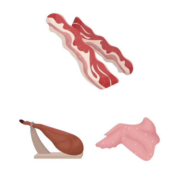 Diferentes iconos de dibujos animados de carne en la colección de conjuntos para el diseño. Carne producto vector símbolo stock web ilustración . — Vector de stock