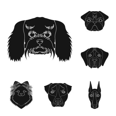 Köpek ırkları set koleksiyonu tasarım için simgeler siyah. Bir köpek vektör simge stok web illüstrasyon namlu.