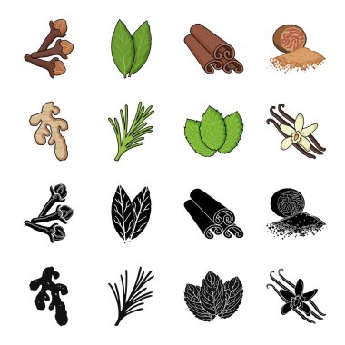 Ginger, biberiye, vanilya, nane. Otlar ve baharatlar toplama simgeler siyah, karikatür tarzı vektör simge stok çizim web içinde ayarla.