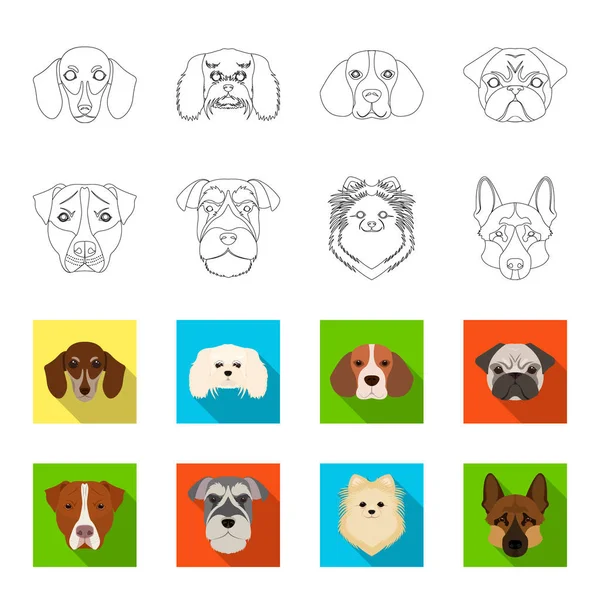 Bocal de raças diferentes de dogs.Dog raça Stafford, Spitz, Risenschnauzer, conjunto pastor alemão ícones de coleção em esboço, estilo flet vector símbolo ilustração web . — Vetor de Stock